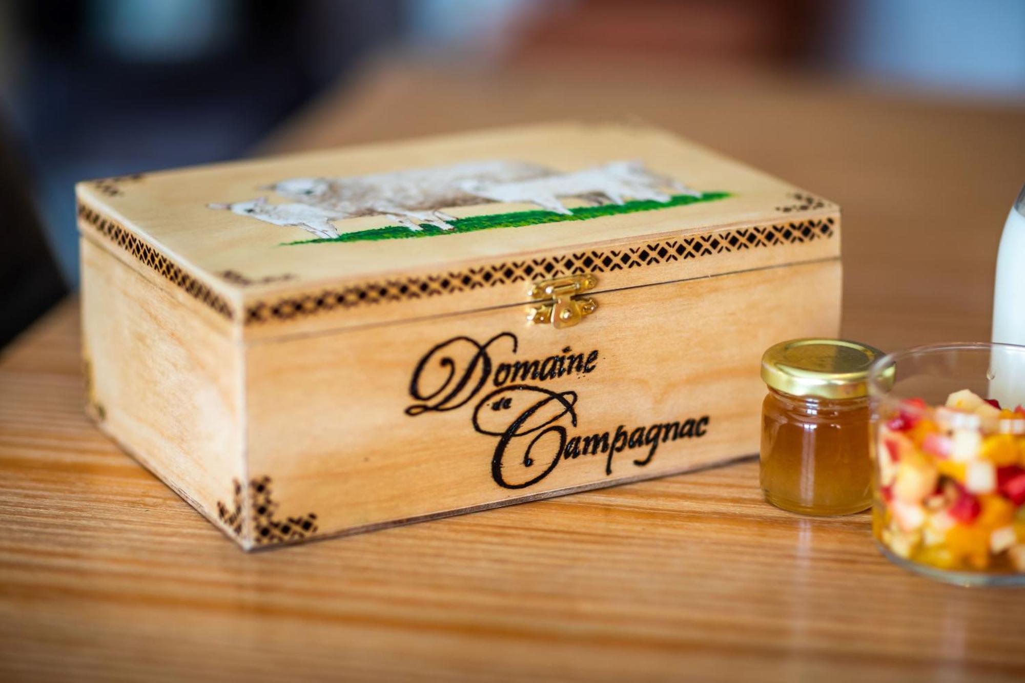 Domaine De Campagnac - Spa & Sauna Carsac-Aillac Zewnętrze zdjęcie