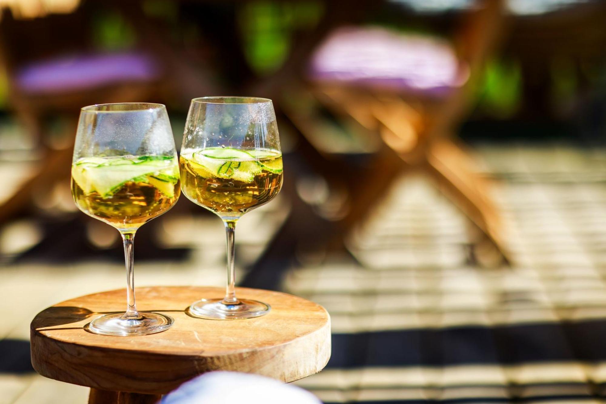 Domaine De Campagnac - Spa & Sauna Carsac-Aillac Zewnętrze zdjęcie